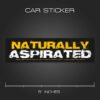 Naturally Aspirated Sticker for Cars